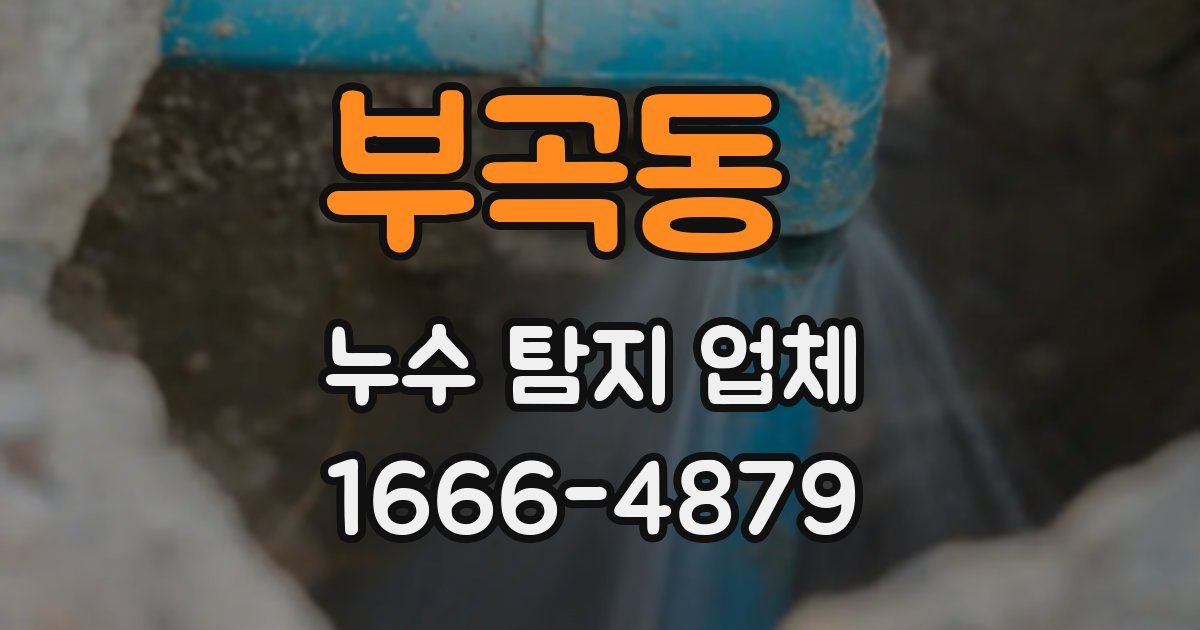 부곡동 누수 탐지 업체