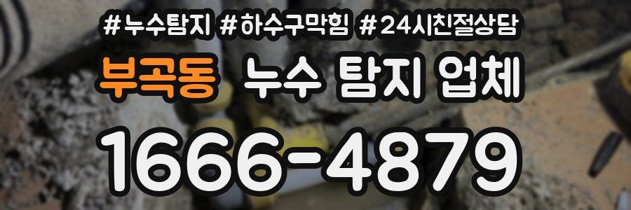부곡동 누수 탐지 업체