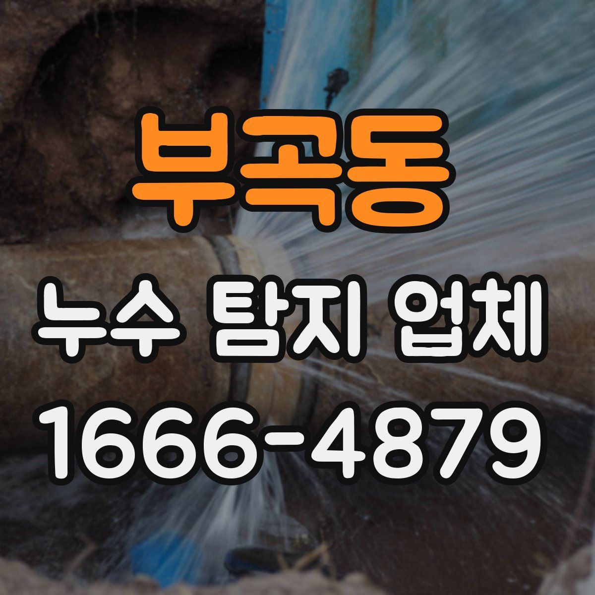 부곡동 누수 탐지 업체