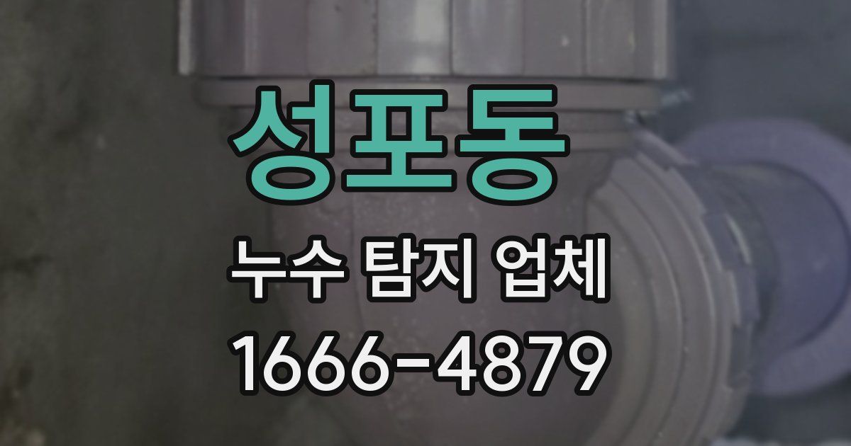 성포동 누수 탐지 업체