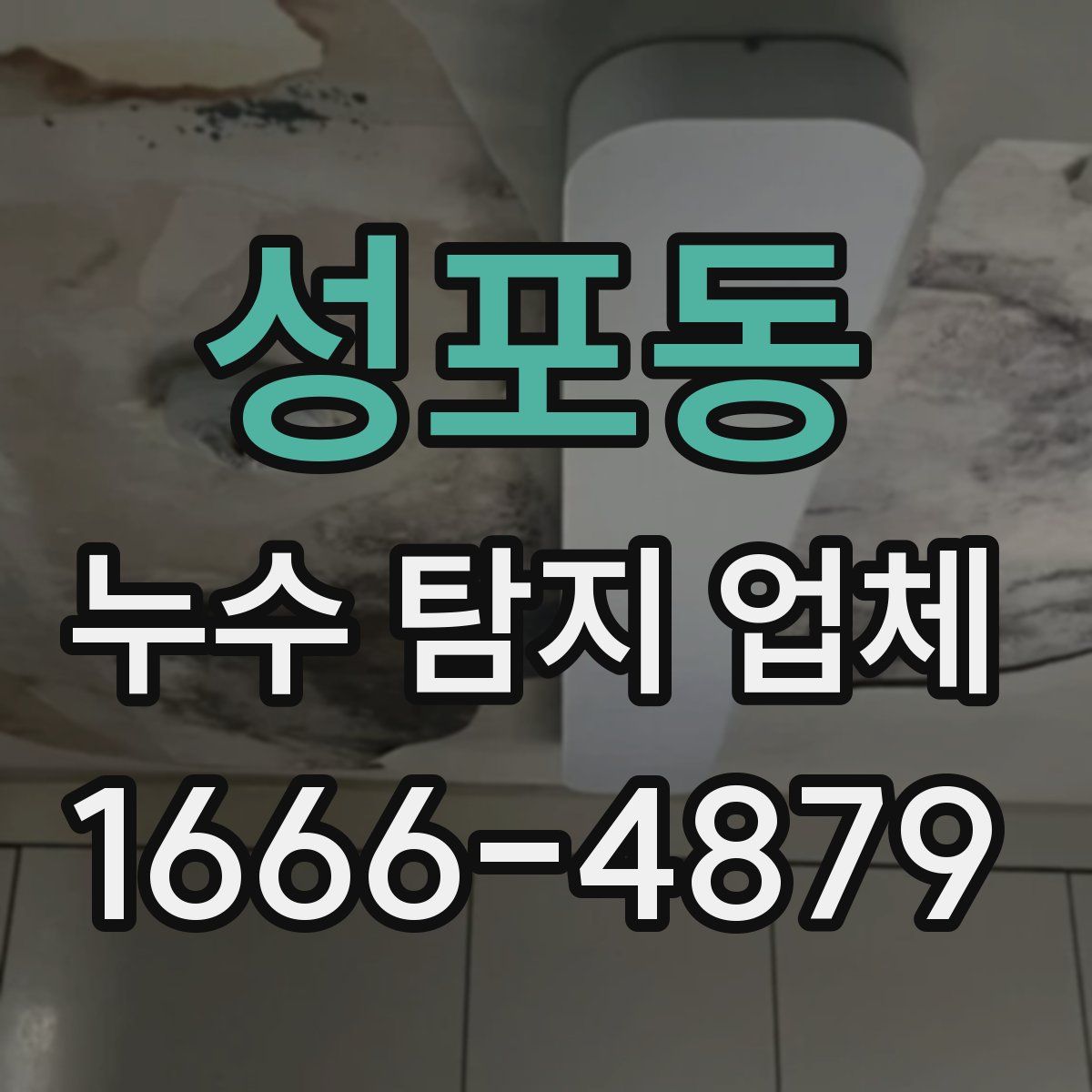 성포동 누수 탐지 업체