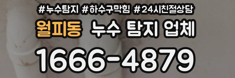 월피동 누수 탐지 업체