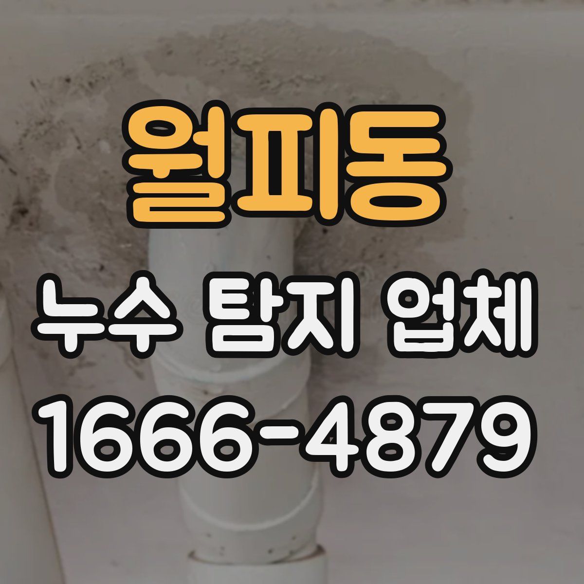 월피동 누수 탐지 업체