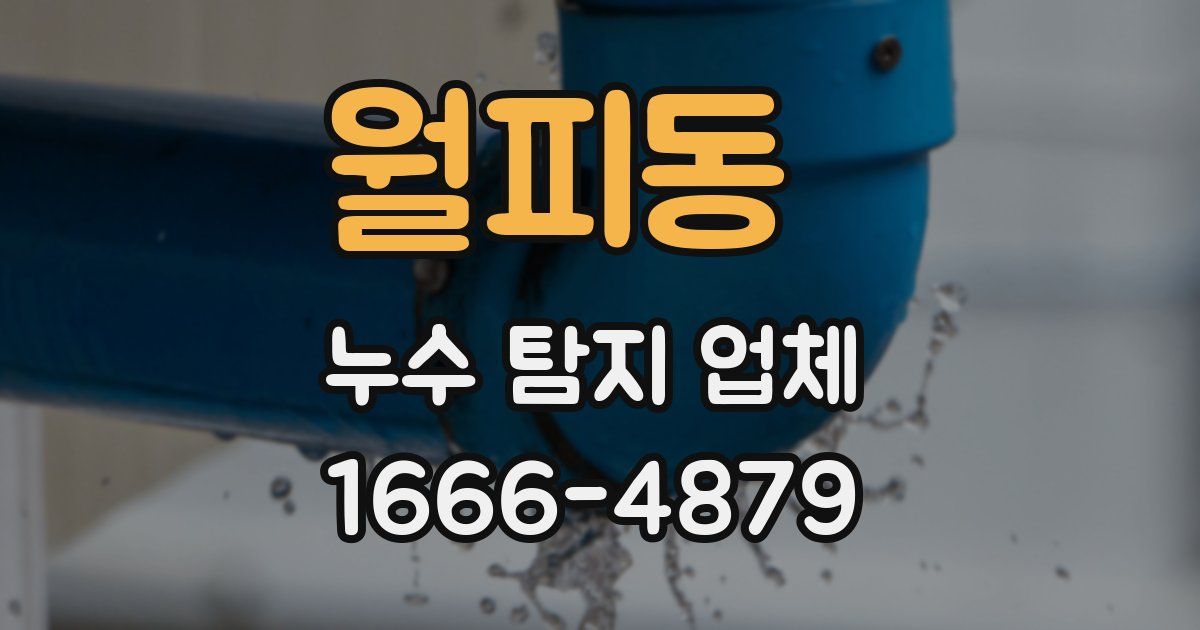월피동 누수 탐지 업체