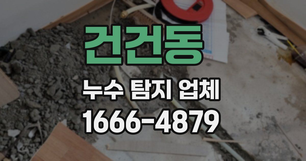 건건동 누수 탐지 업체