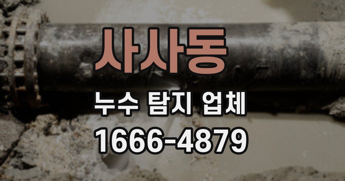 사사동 누수 탐지 업체