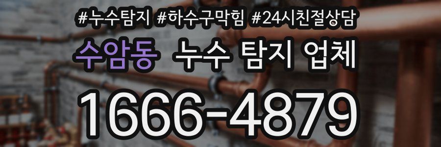 수암동 누수 탐지 업체
