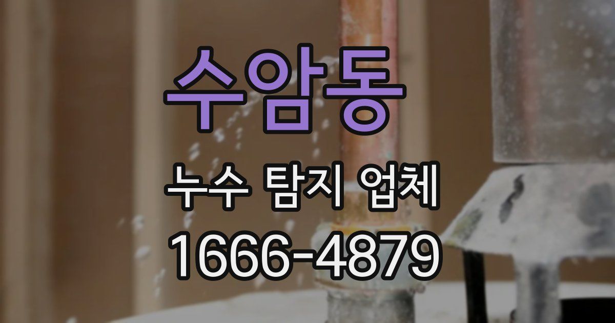 수암동 누수 탐지 업체