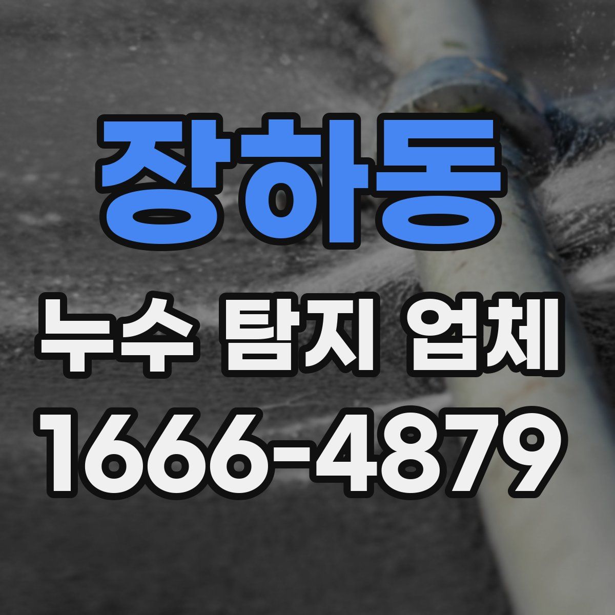 장하동 누수 탐지 업체