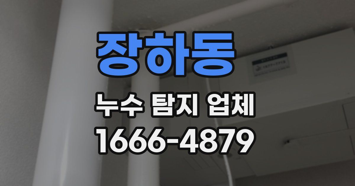 장하동 누수 탐지 업체
