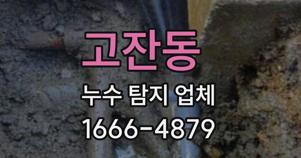 고잔동 누수 탐지 업체