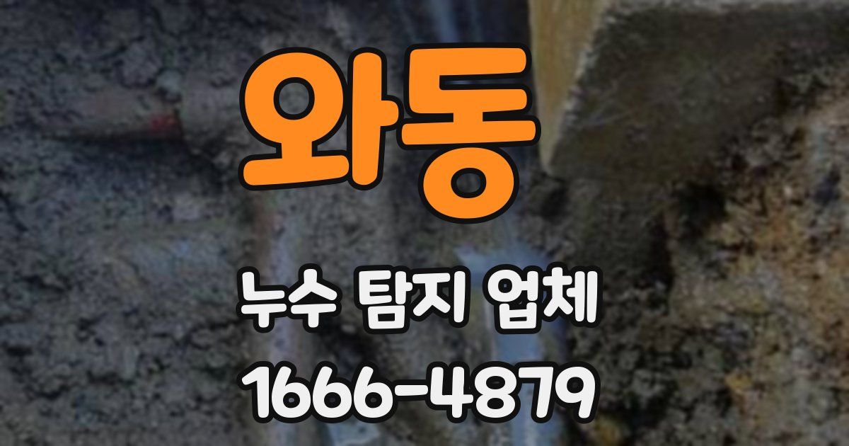 와동 누수 탐지 업체