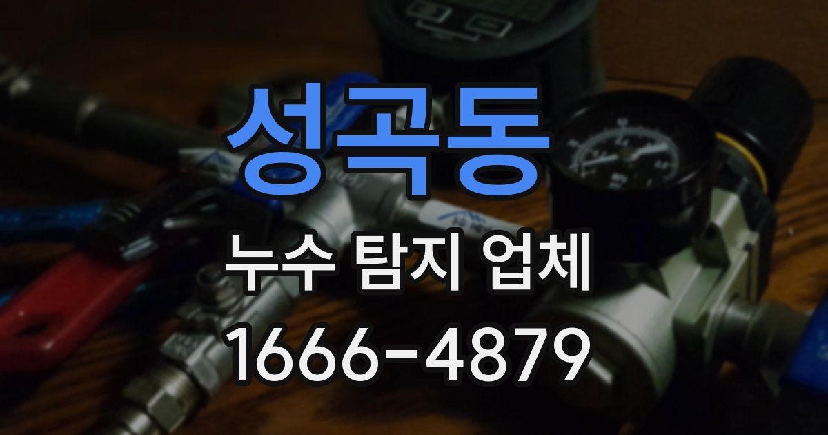 성곡동 누수 탐지 업체