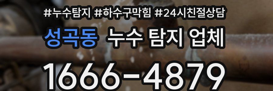 성곡동 누수 탐지 업체