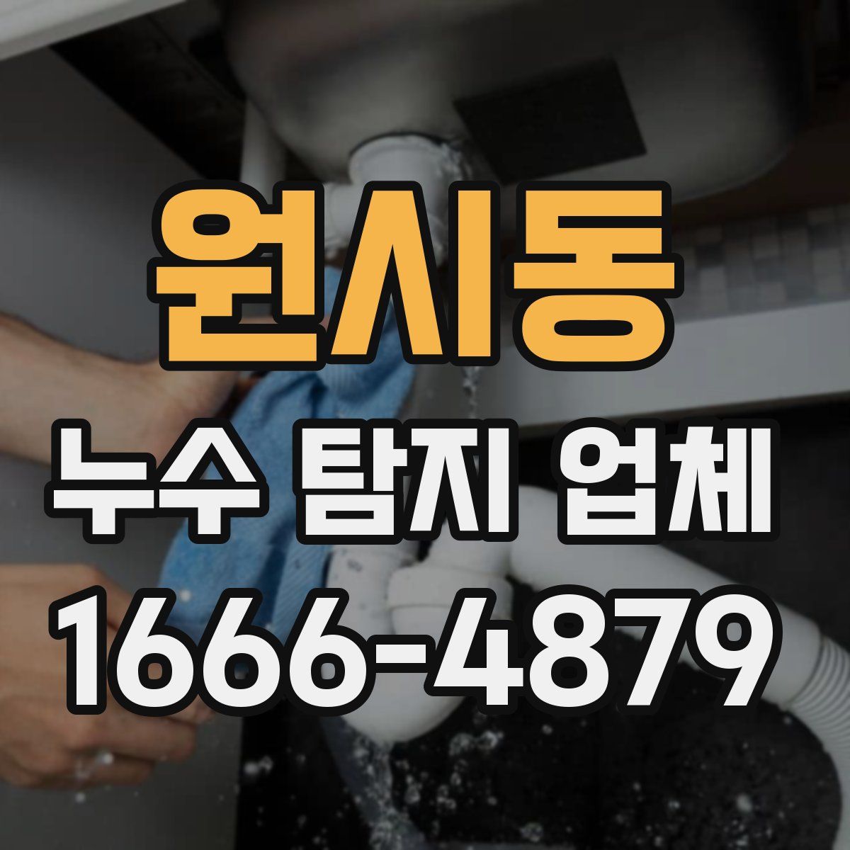 원시동 누수 탐지 업체