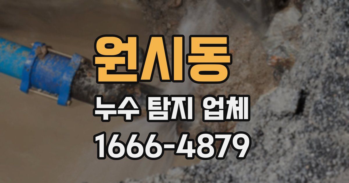 원시동 누수 탐지 업체