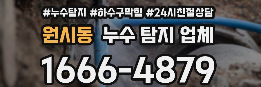 원시동 누수 탐지 업체