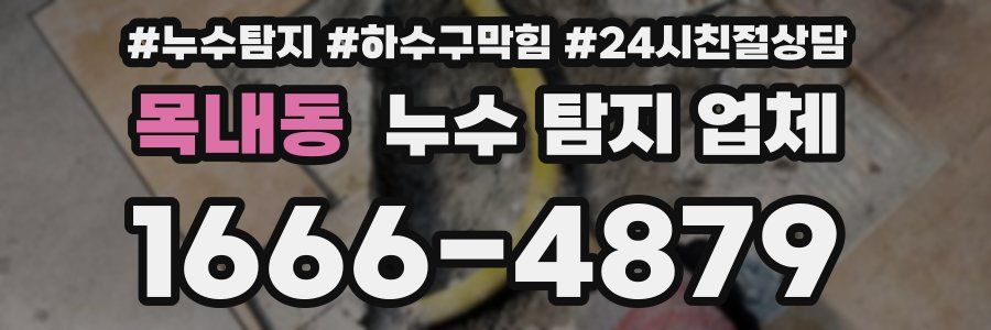 목내동 누수 탐지 업체