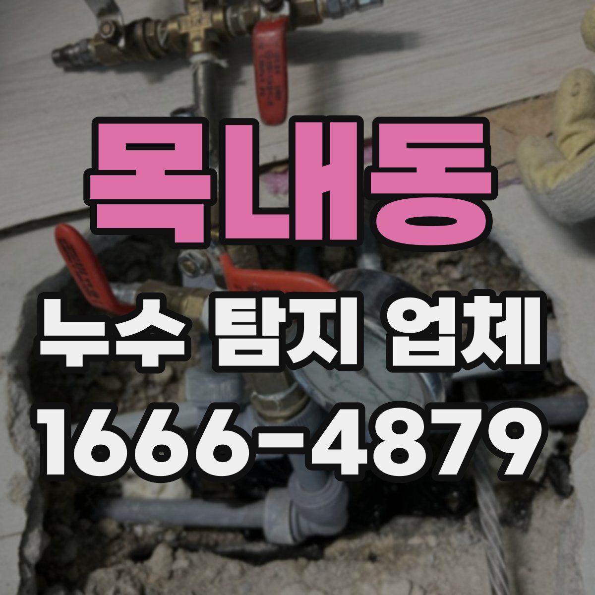 목내동 누수 탐지 업체