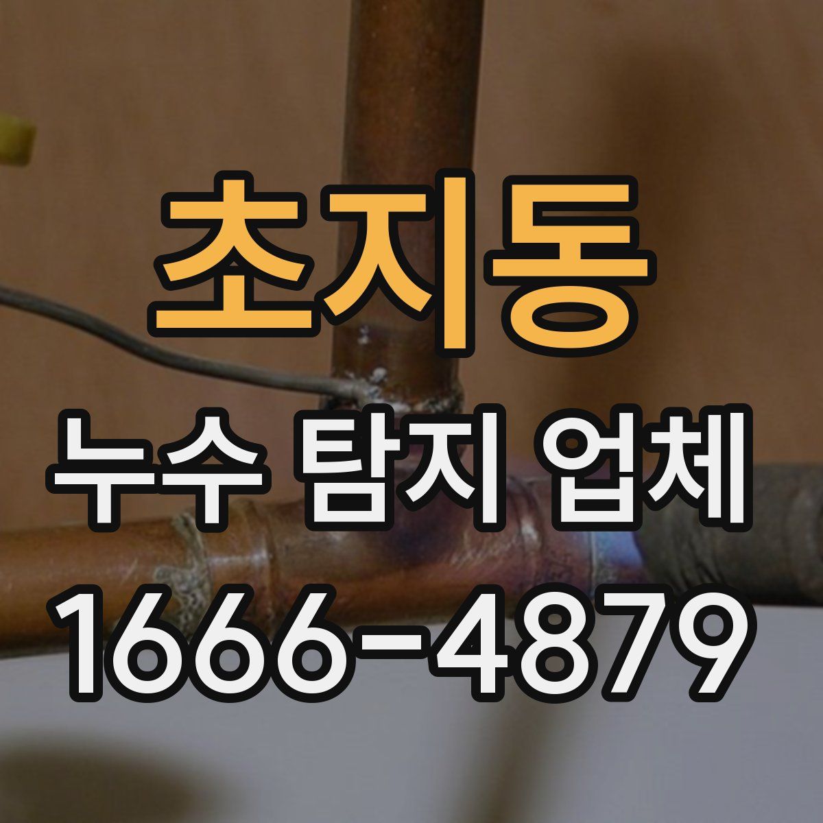 초지동 누수 탐지 업체