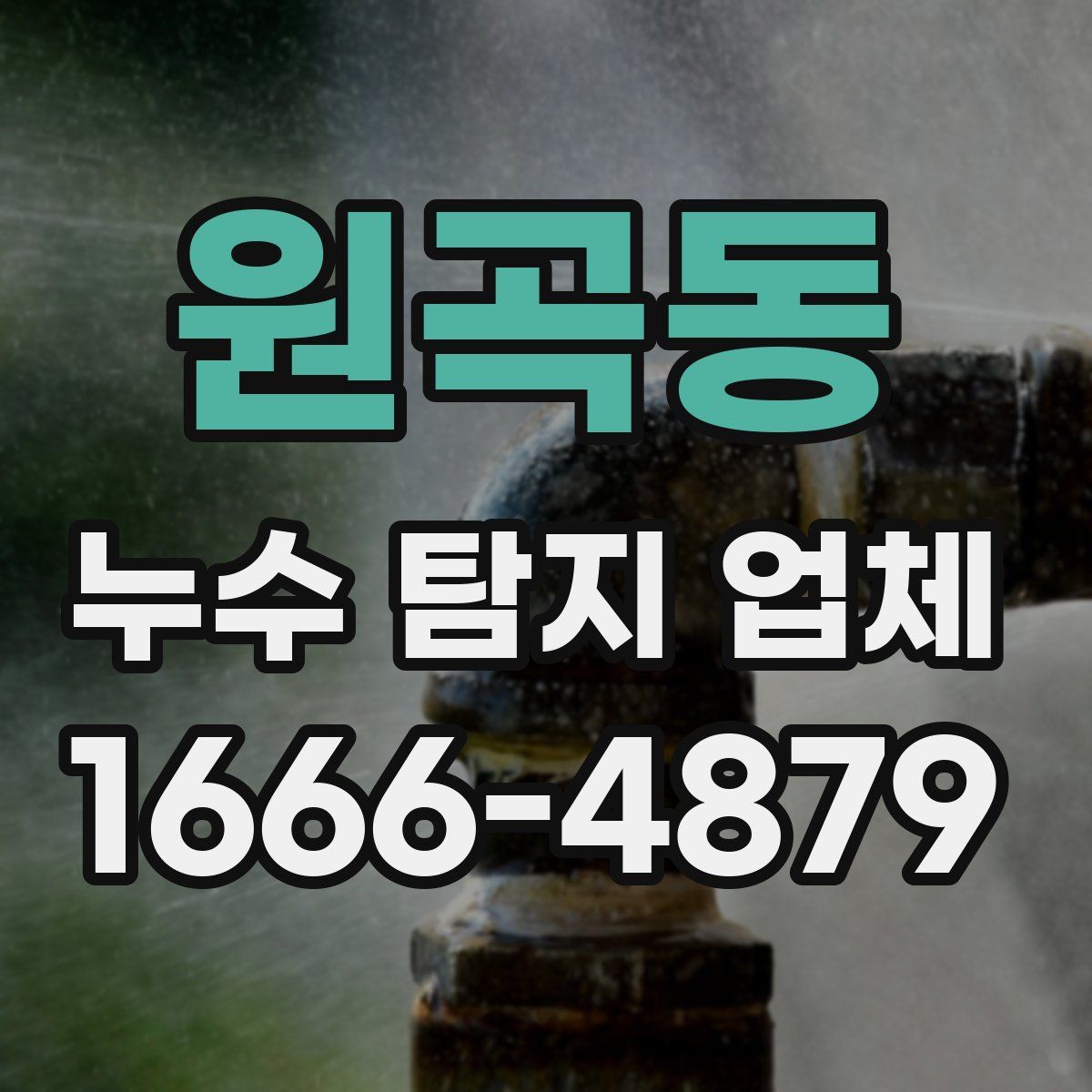 원곡동 누수 탐지 업체