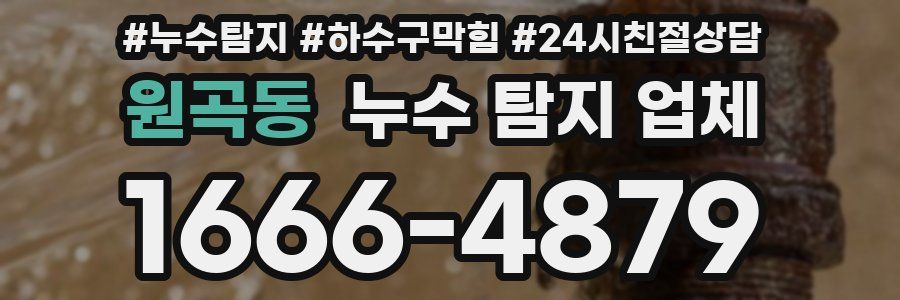 원곡동 누수 탐지 업체