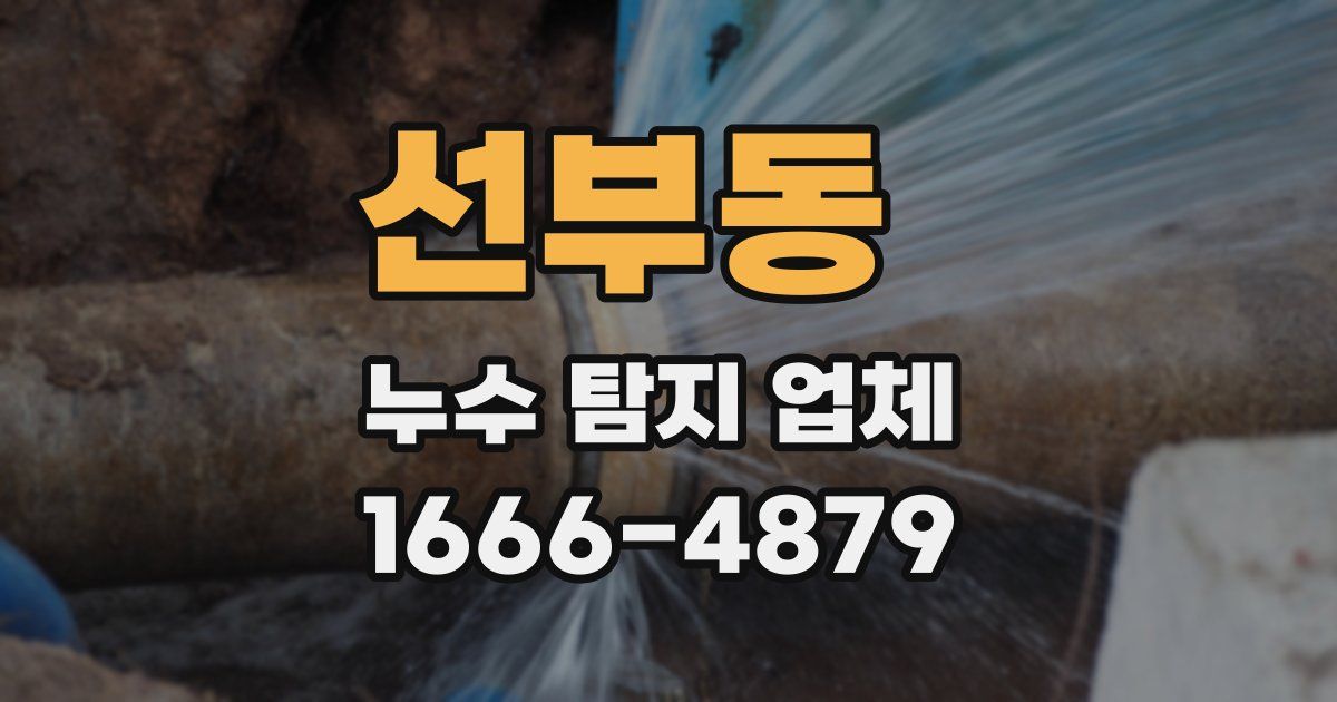 선부동 누수 탐지 업체