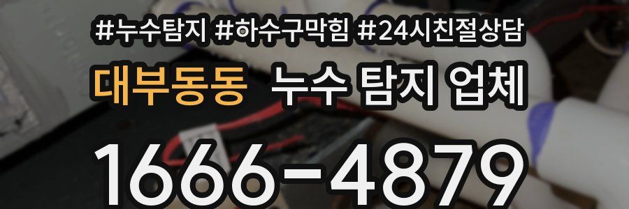 대부동동 누수 탐지 업체