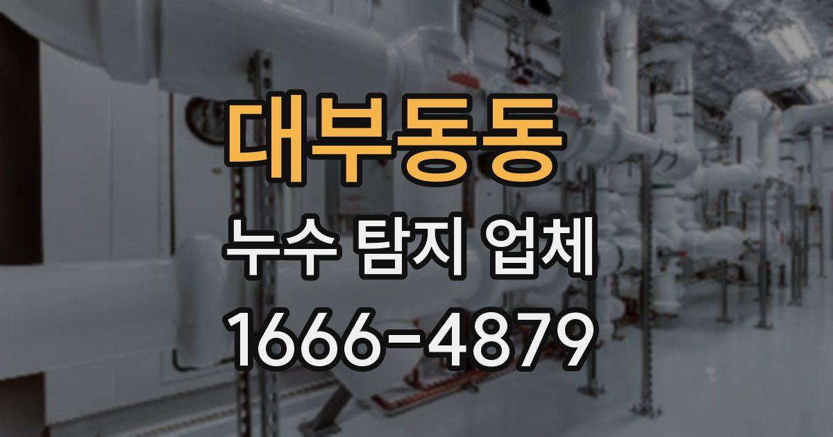 대부동동 누수 탐지 업체