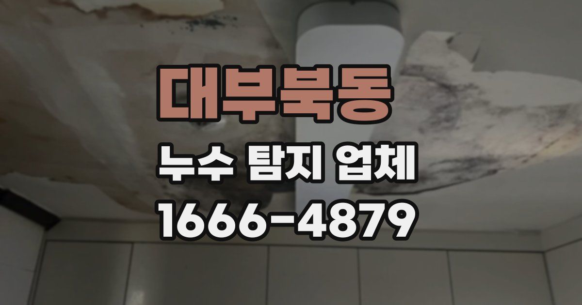 대부북동 누수 탐지 업체