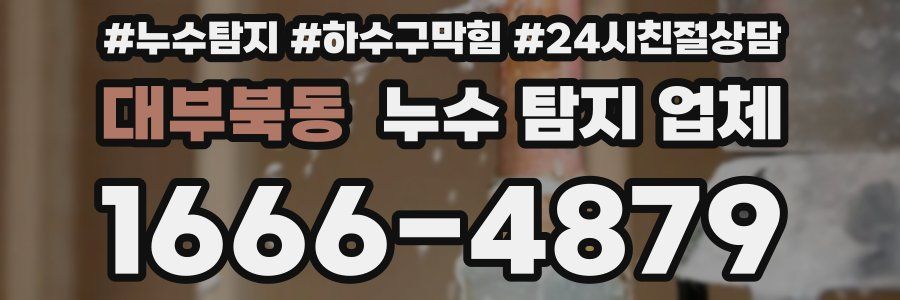 대부북동 누수 탐지 업체