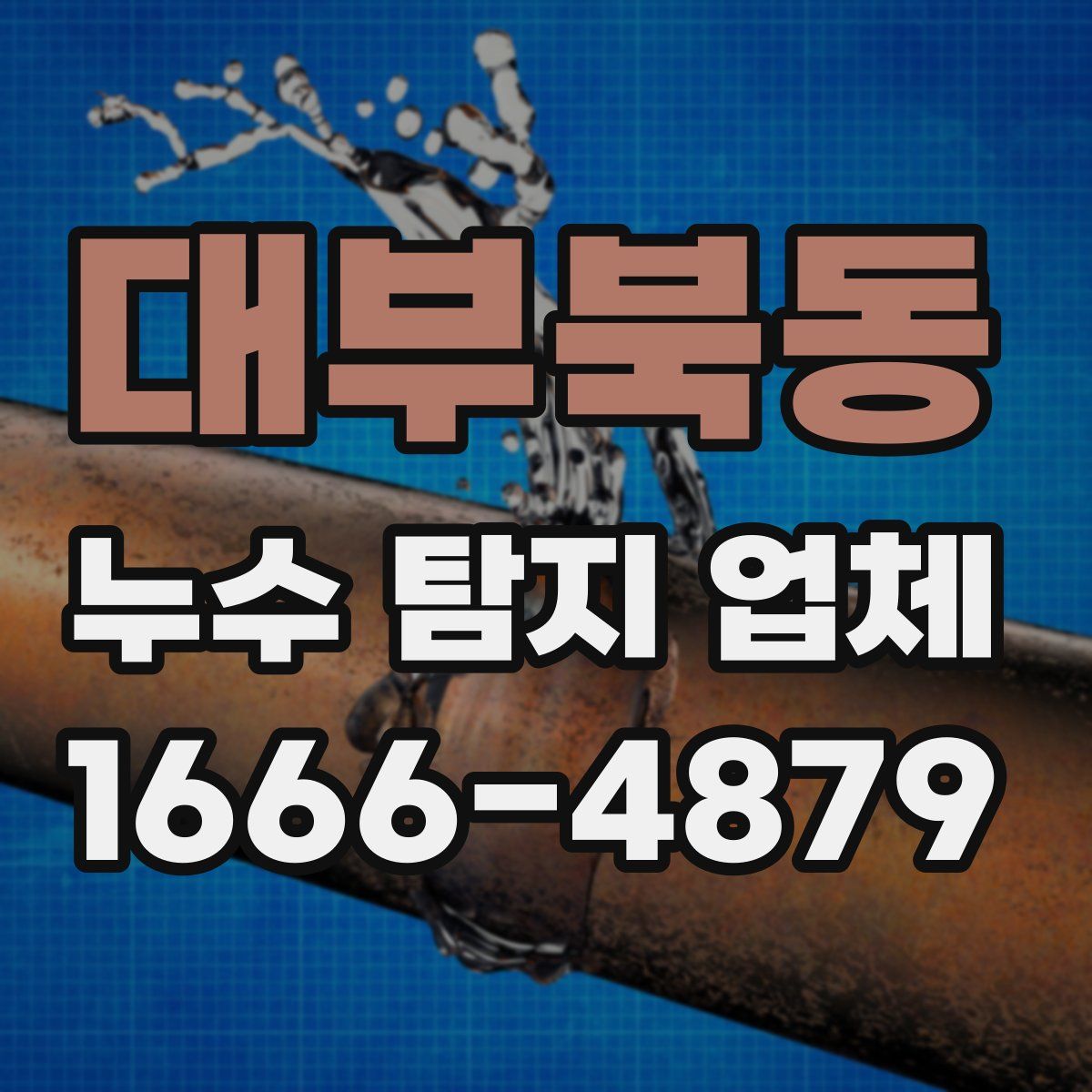 대부북동 누수 탐지 업체
