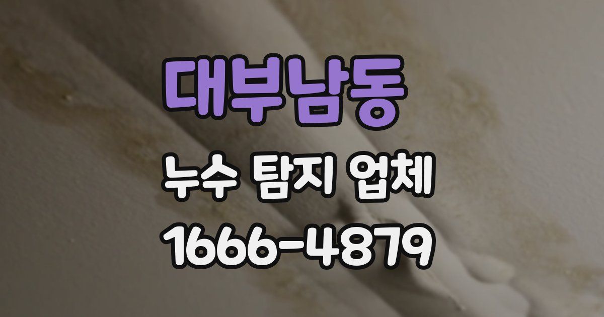 대부남동 누수 탐지 업체