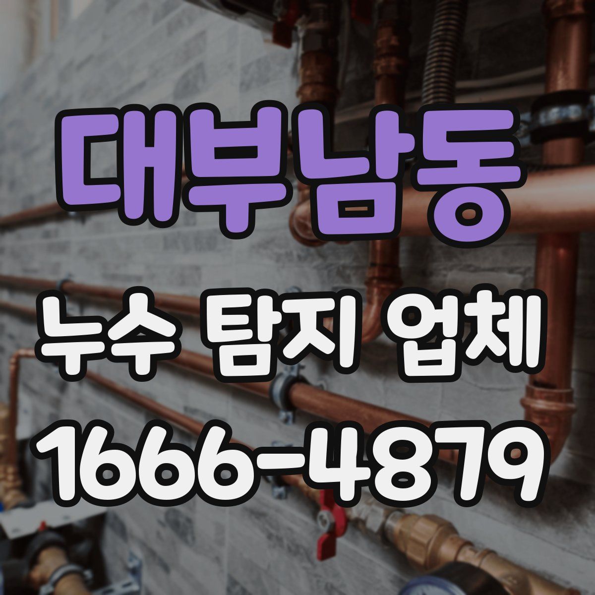 대부남동 누수 탐지 업체