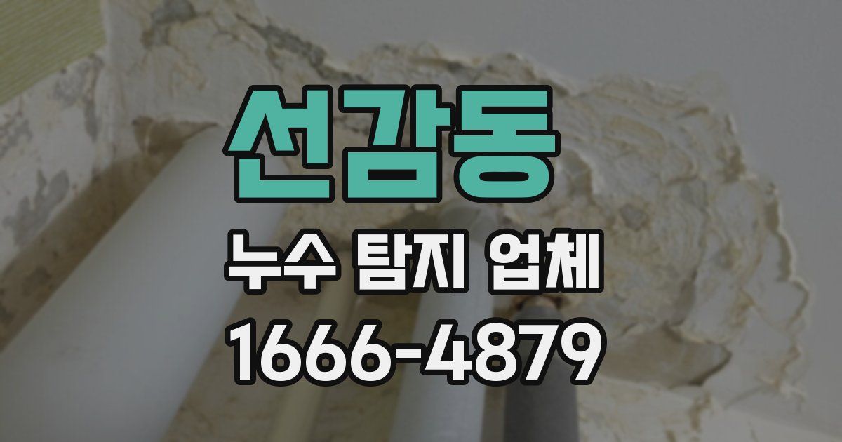 선감동 누수 탐지 업체