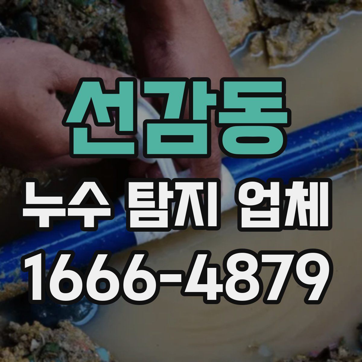선감동 누수 탐지 업체