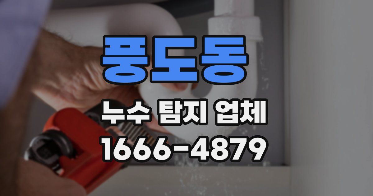 풍도동 누수 탐지 업체