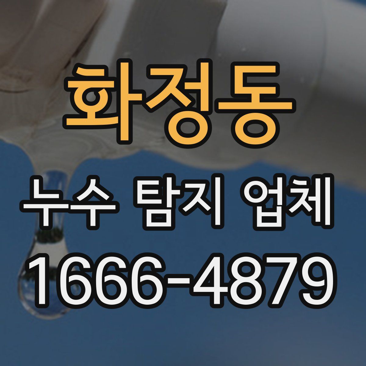 화정동 누수 탐지 업체