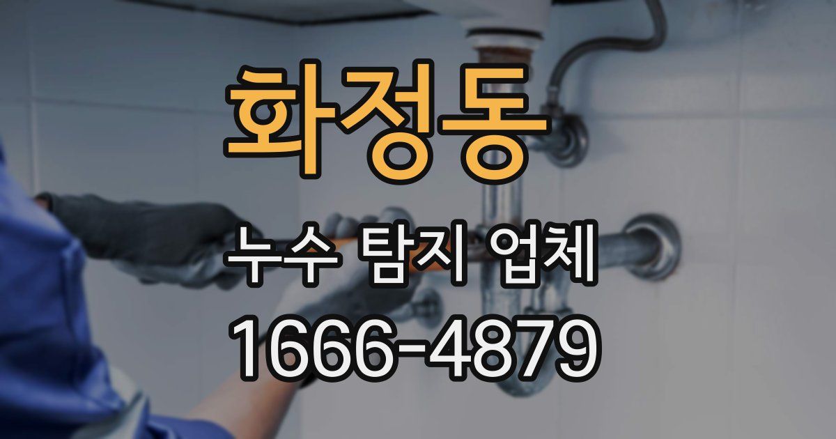 화정동 누수 탐지 업체