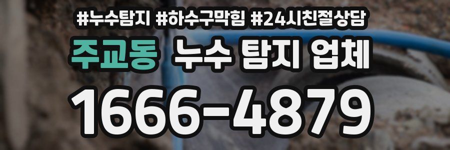 주교동 누수 탐지 업체