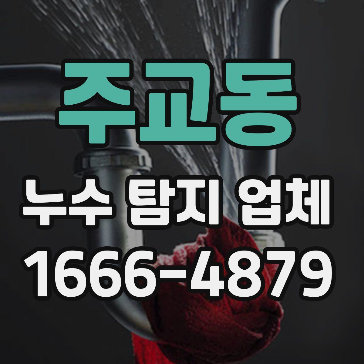 주교동 누수 탐지 업체