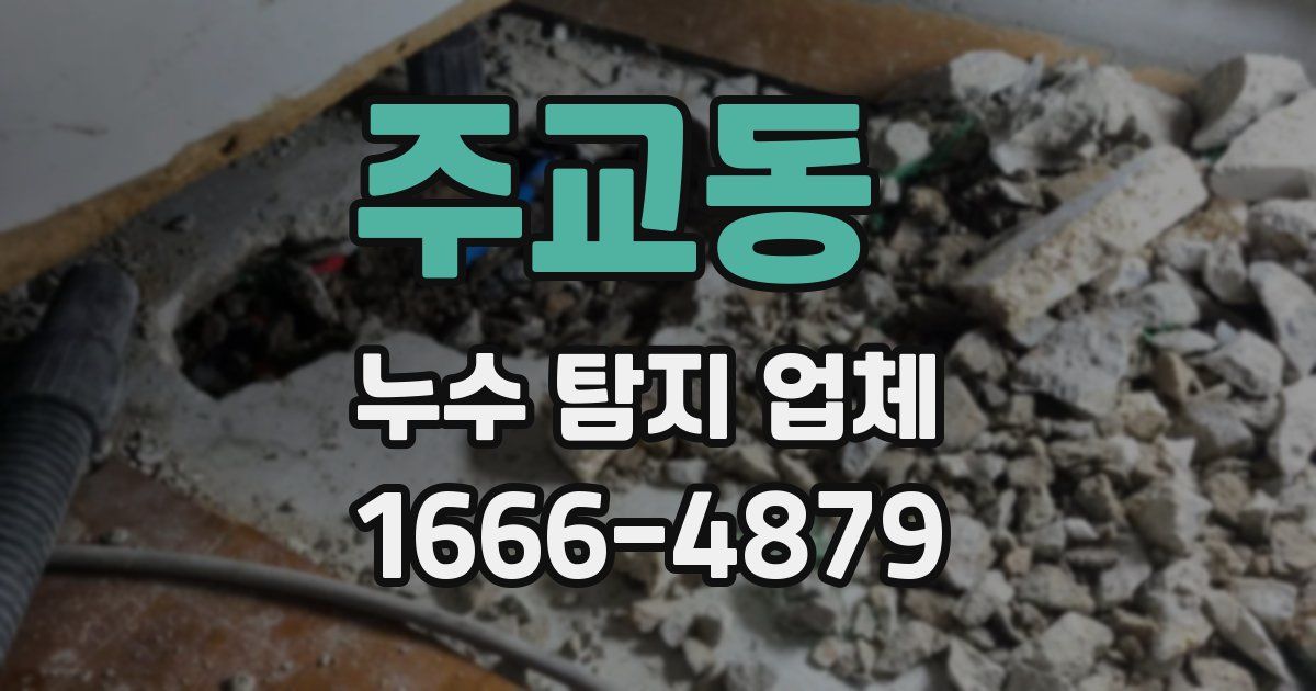 주교동 누수 탐지 업체
