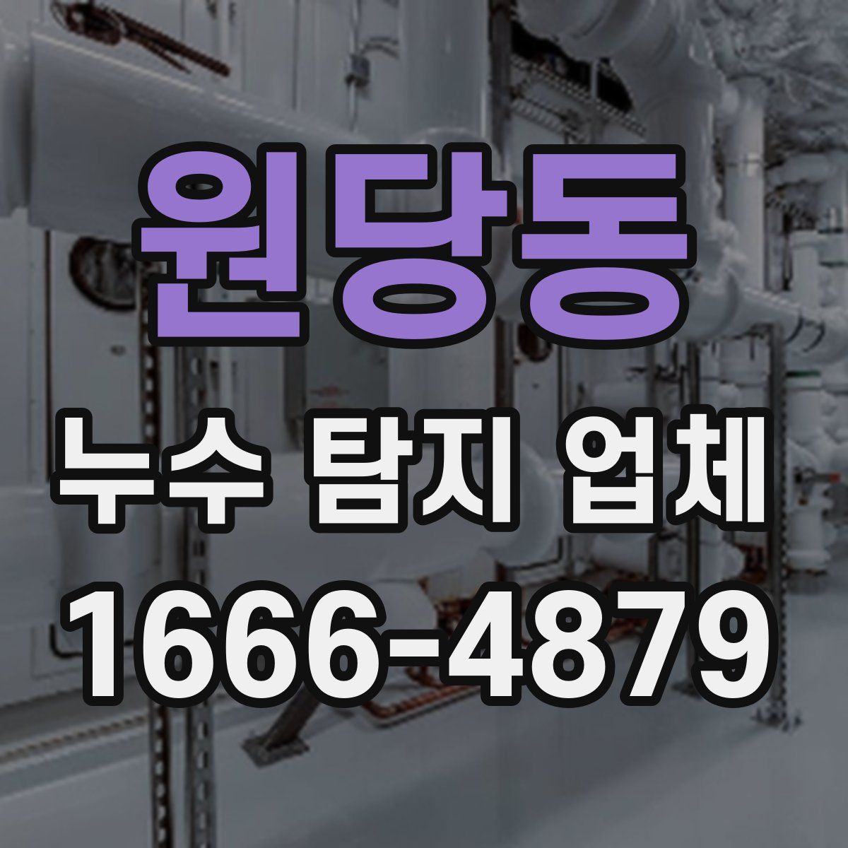 원당동 누수 탐지 업체