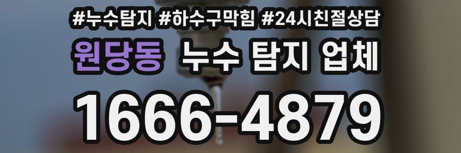 원당동 누수 탐지 업체