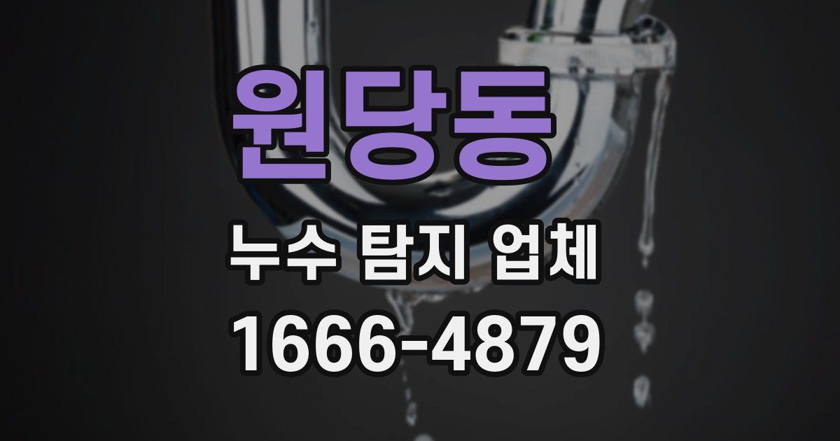 원당동 누수 탐지 업체