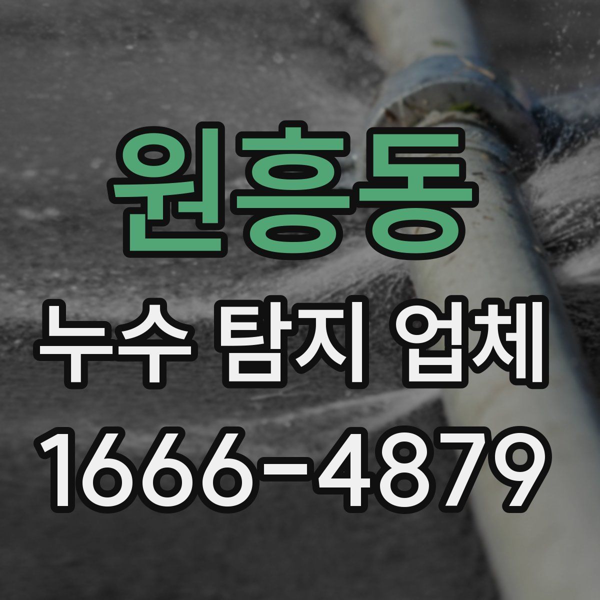 원흥동 누수 탐지 업체