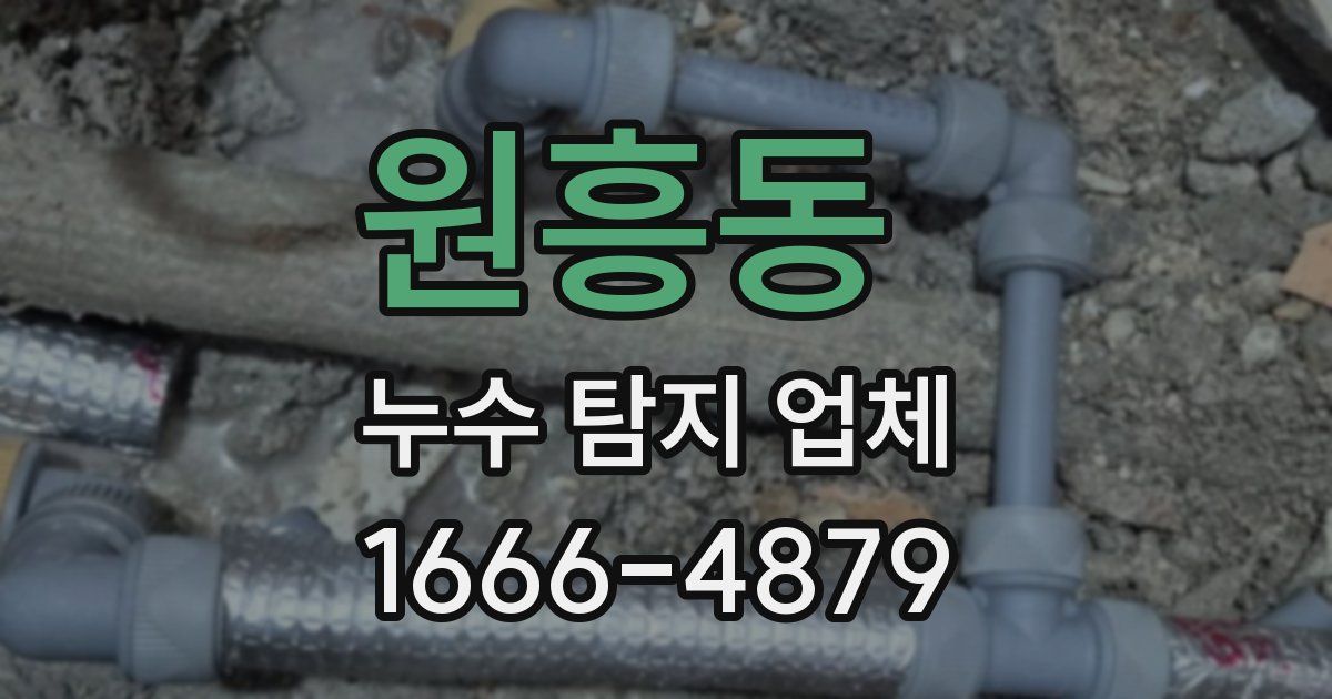 원흥동 누수 탐지 업체