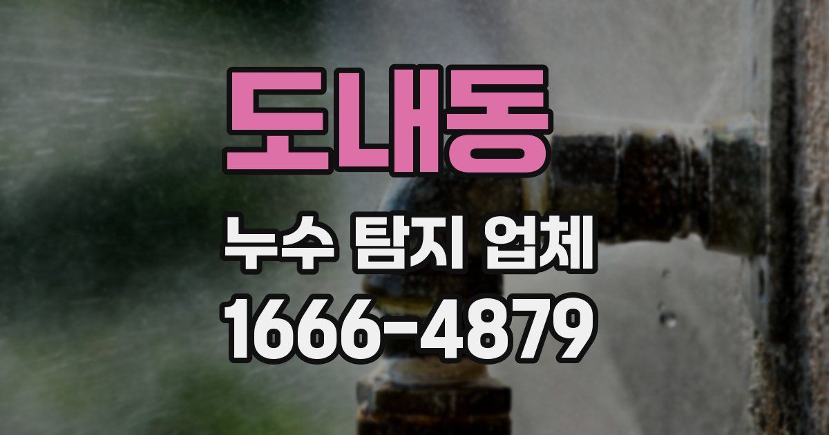 도내동 누수 탐지 업체