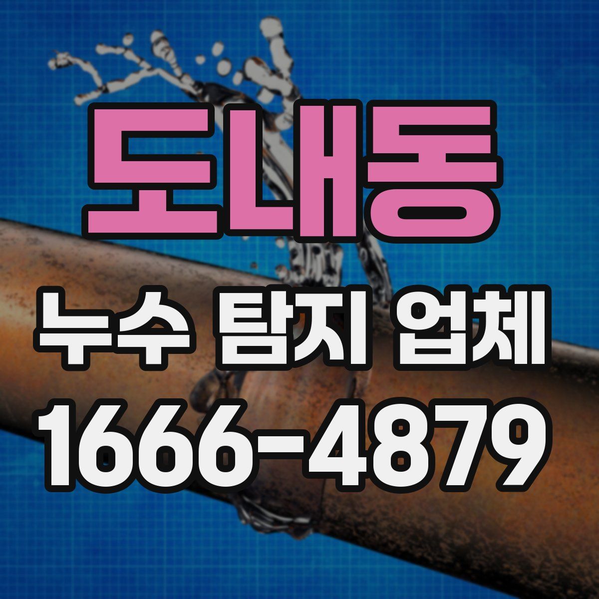 도내동 누수 탐지 업체