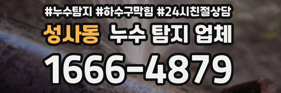 성사동 누수 탐지 업체